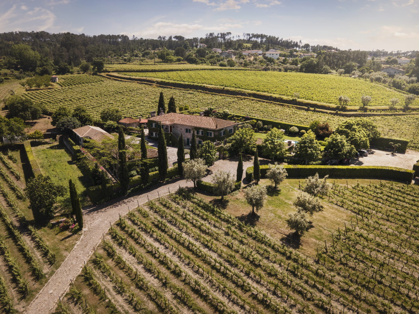 Quinta do Soito entre vinhas, no Dão