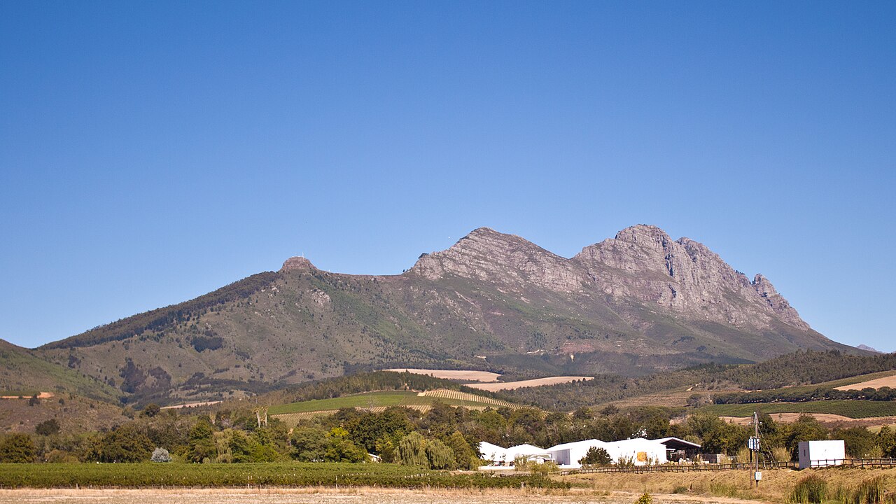 Paisagem vínica perto de Stellenbosch, África do Sul.