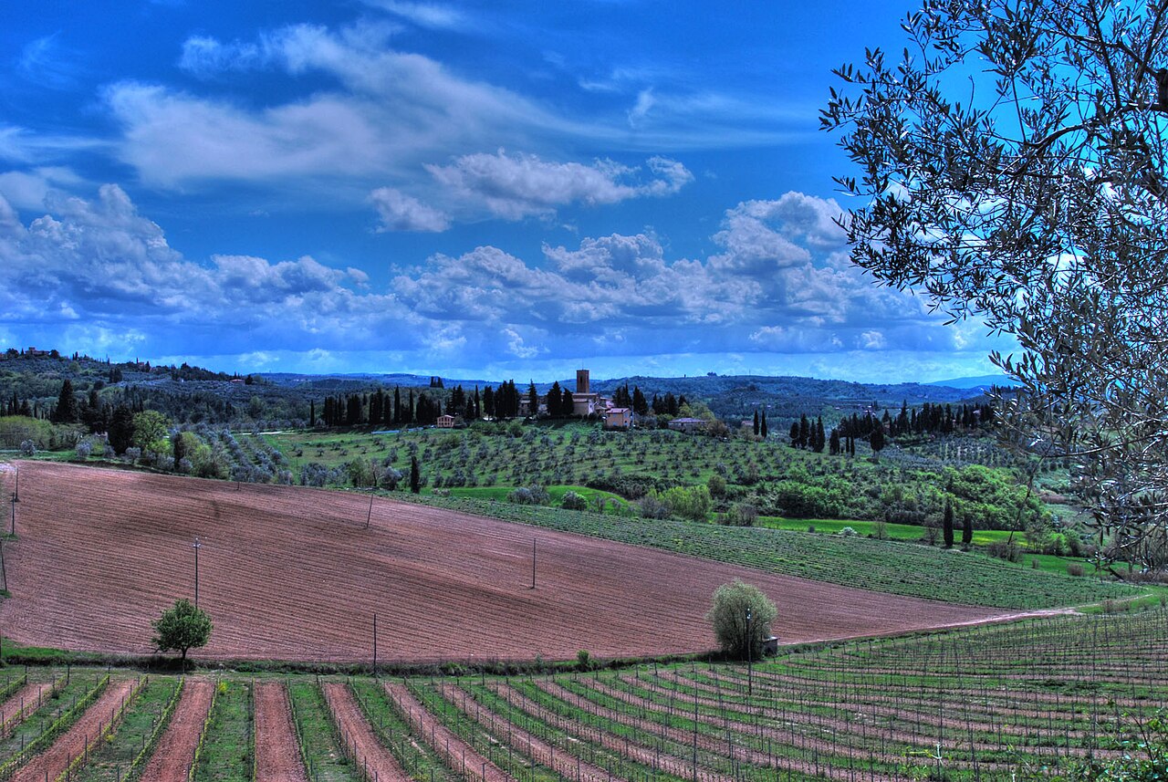 Vinhas e paisagem rural na Toscana, Itália.