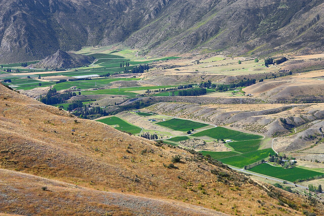 Vinhas de Gibbston Valley, Central Otago, Nova Zelândia.